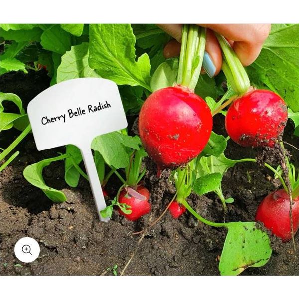 Lot of 2 Mskenzie 10-Pack ‘T’ Shape Garden Labels