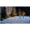 Image 1 : Danson Decor 3 Lawn Stakes LED Lights, Warm White, Indoor/Outdoor LOT OF 3
