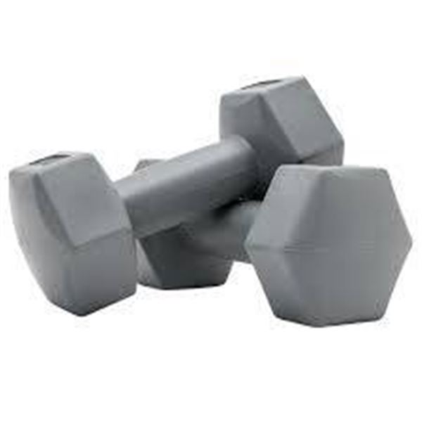 15 LB Hex Dumbbells with Rubber Coating