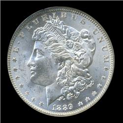 1889 Morgan Dollar GEM Graded MS67 Scarce Variety (COI-5639)