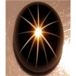 1.31ct Premium Black 12 Ray Star Sapphire (GEM-9701)