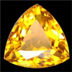 3.55ct Charming Golden Yellow Trillion Cut Citrine (GEM-14250)
