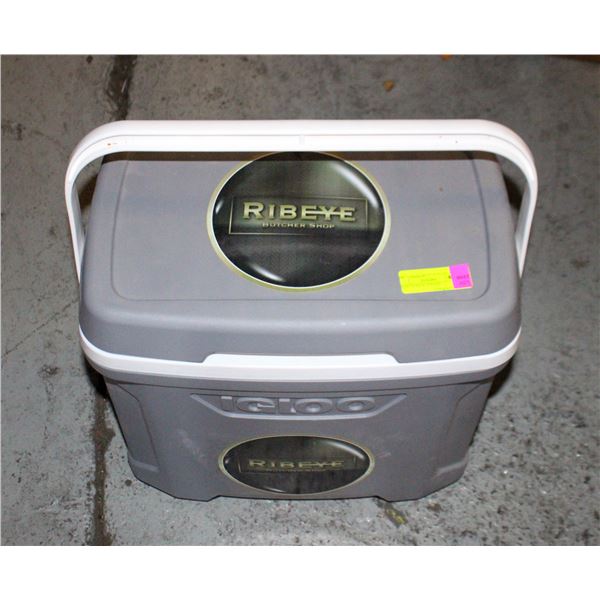 IGLOO PLASTIC COOLER