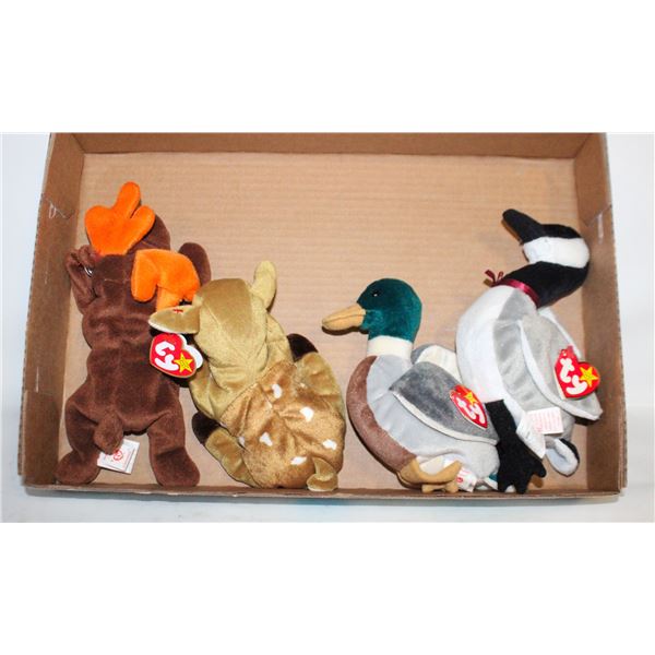 TY BEANIE BABIES W/TAGS MOOSE DEER