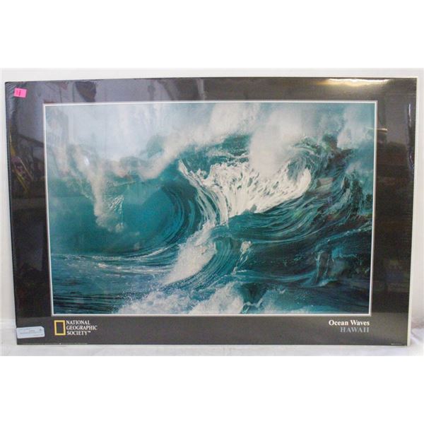 OCEAN WAVES HAWAII 24" x 36"