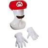 Image 1 : NEW DISGUISE SUPER MARIO ACCESSORY KIT