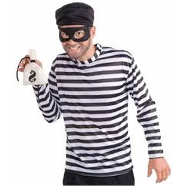NEW ROBIES BURGLAR ADULT COSTUME