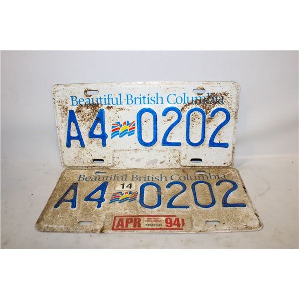 LOT OF 2 MATCHING BRITISH COLUMBIA LICENSE