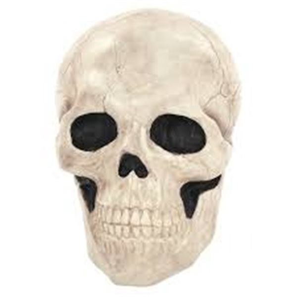 NEW SEASONS GIANT SKULL LIGHT WEIGHT 17" TALL