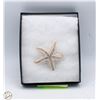 Image 1 : NEW RHINESTONE AND PEARL FILLED STARFISH
