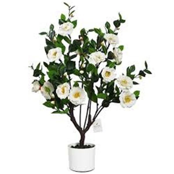 NEW W BOX LEFLOS ARTIFICIAL 3FT CAMELLIA TREE