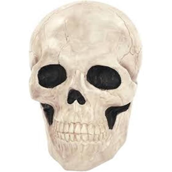 NEW IN BOX 17" GIANT SKELETON SKULL DECOR