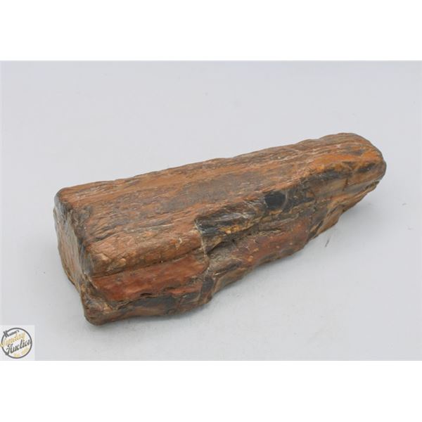 1.5+KG SLAB OF PETRIFIED WOOD