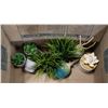 Image 1 : BOX OF ARTIFICIAL HOME DECOR PLANTS
