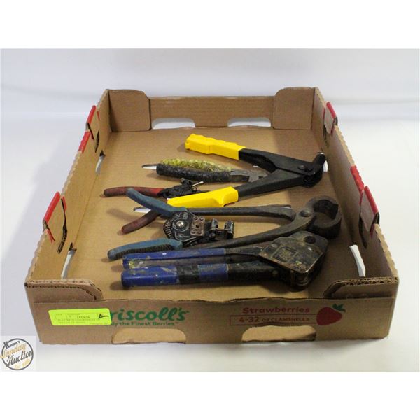 FLAT WITH ASSORTMENT OF HAND