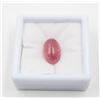 Image 1 : #259-NATURAL RED RUBY GEMSTONE 13.03CT