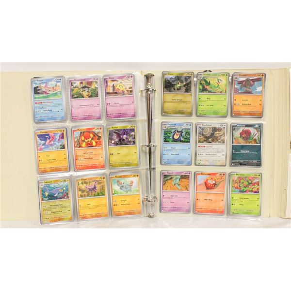 POKEMON WITH HOLO BINDERS