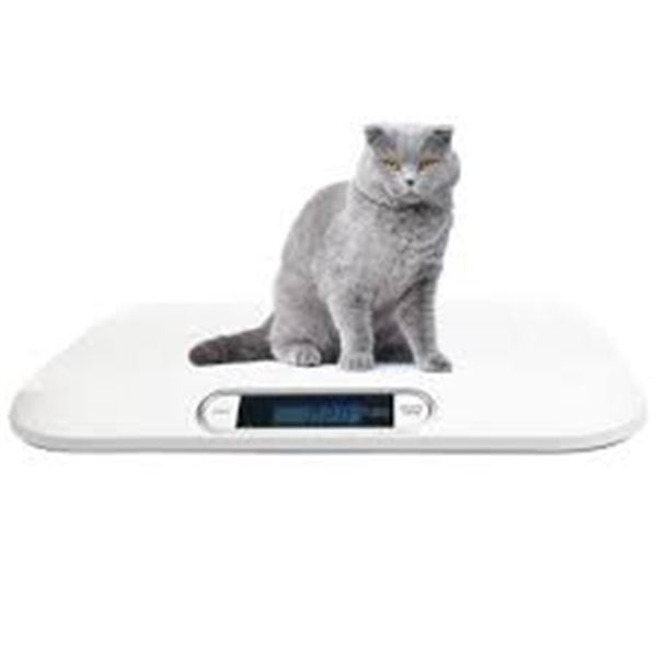 NEW DIGIITAL ELECTRONIC DISPLAY DOG/CAT SCALE