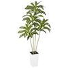 Image 1 : BRAND NEW BELLACAT 6FT ARTIFICAL DRACAENA PLANT
