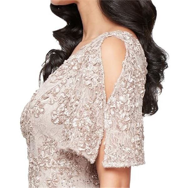 NEW ALEX EVENINGS WOMEN'S EMBROIDERED GOWN