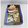 Image 1 : CONCH SHELL PLUS OTHER SEASHELLS