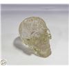 Image 1 : TOP COLLECTION RESIN SKULL CLEAR COLOR