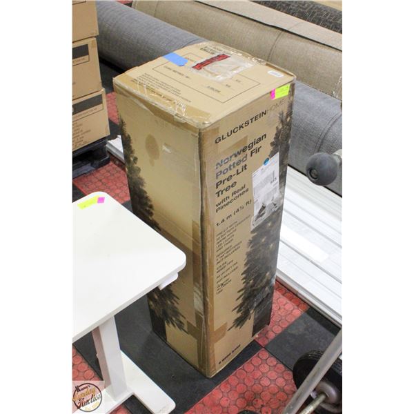 GLUCKSTEIN HOME NORWEGIAN POTTED FIR