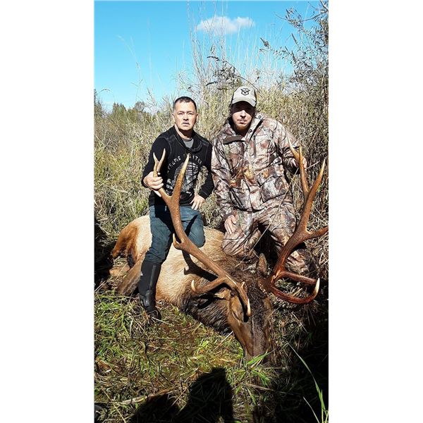 Washington Roosevelt Elk Hunt