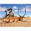 Image 1 : South African Hunt