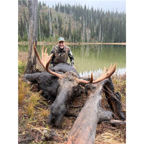 Idaho Guided Moose Hunt