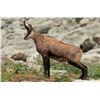 Image 2 : New Zealand Chamois & Tahr Combo Hunt