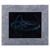 Image 2 : A Star Trek Deep Space Nine Reflective Print.