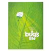 Image 1 : An "A Bug's Life" Screening Program.