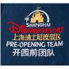 Image 2 : Shanghai Disneyland Pre-Opening Team Coveralls.