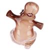 Image 1 : A"Fantasia" Hippo Ceramic Bank.