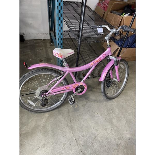 PINK CURVETTE VENUS BIKE