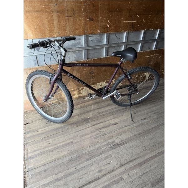 RALEIGH BIKE