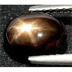 2.07ct Natural Black Star Sapphire 6 Rays Unheated (GEM-18002)