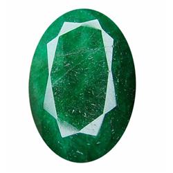 220+ct S. American Emerald Gem  (GEM-8543)
