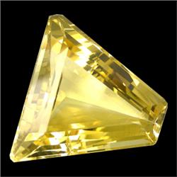 40.60ct Fancy Yellow Citrine Appraisal Estimate $815 (GEM-16832)