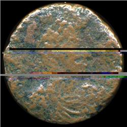 351AD Roman Coin Constantius Gallus Fallen Horseman Better Grade Bronze (COI-5920)