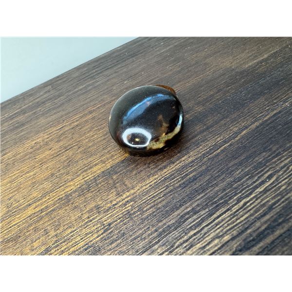 Tortoise shell pill container