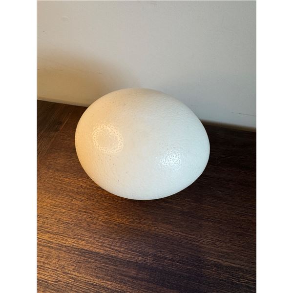 Ostrich egg