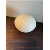 Image 2 : Ostrich egg