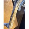 Image 6 : Drift wood ram one repair on leg it's a leg