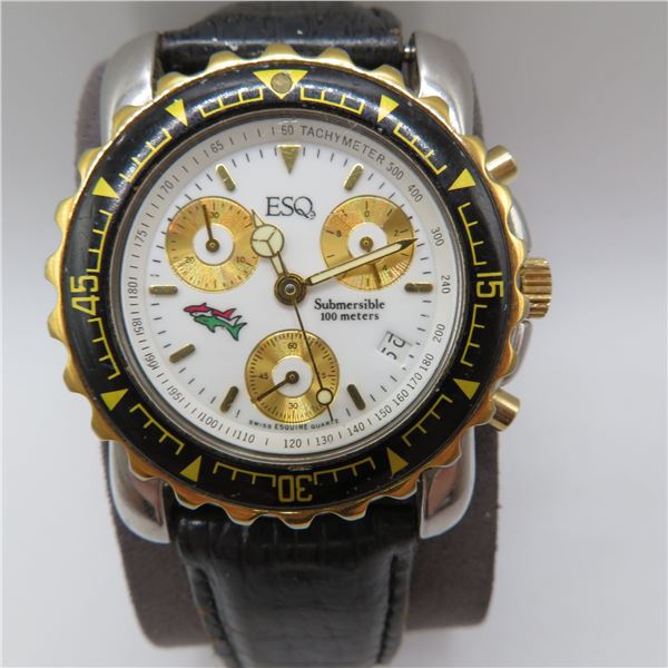 ESQ Submersible men's watch.  In working condition. See description and photos, No COA
