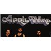 Image 2 : #8  SIGNED VINYL RECORDAPRIL WINE STAND BACK