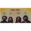 Image 8 : #8  SIGNED VINYL RECORDAPRIL WINE STAND BACK