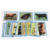 Image 1 : #682 LOT OF 16 CANADIAN CATTLE CARDS