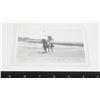 Image 1 : RPPC BETTY MEYERS TRICK RIDING SOUTH DAKOTA